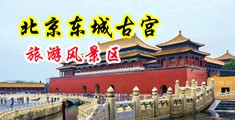 小孩操鸡巴黄色网站中国北京-东城古宫旅游风景区